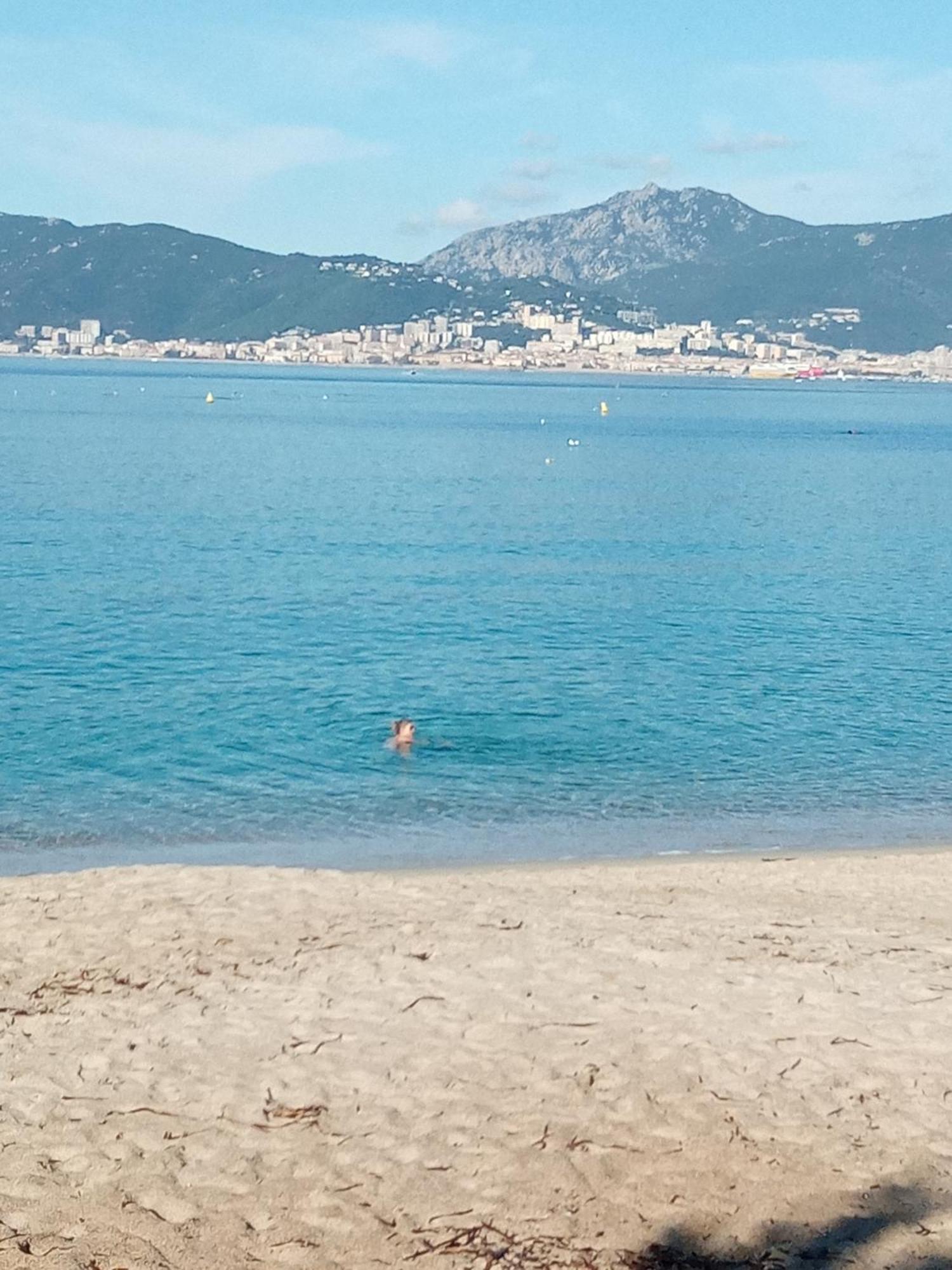 Appart 5 Personnes A Porticcio Avec 2 Piscines Materiel Enfant ,Bebe Clim Екстериор снимка